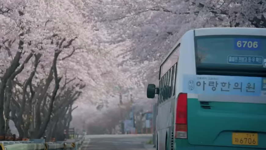 아무것도하고싶지않아 성지 벚꽃길